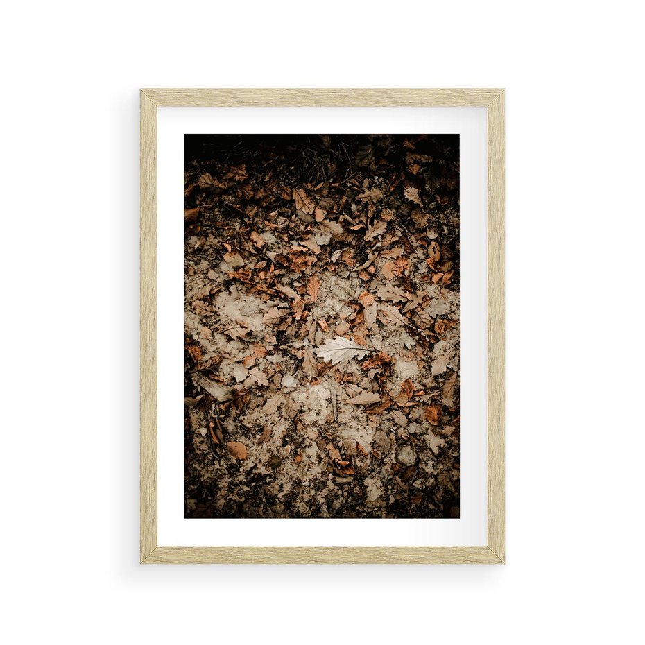 Plakat w ramie 30x40 - Suchość Liści w Brązowych Tonach - suche liście jesień brąz - rama drewno
