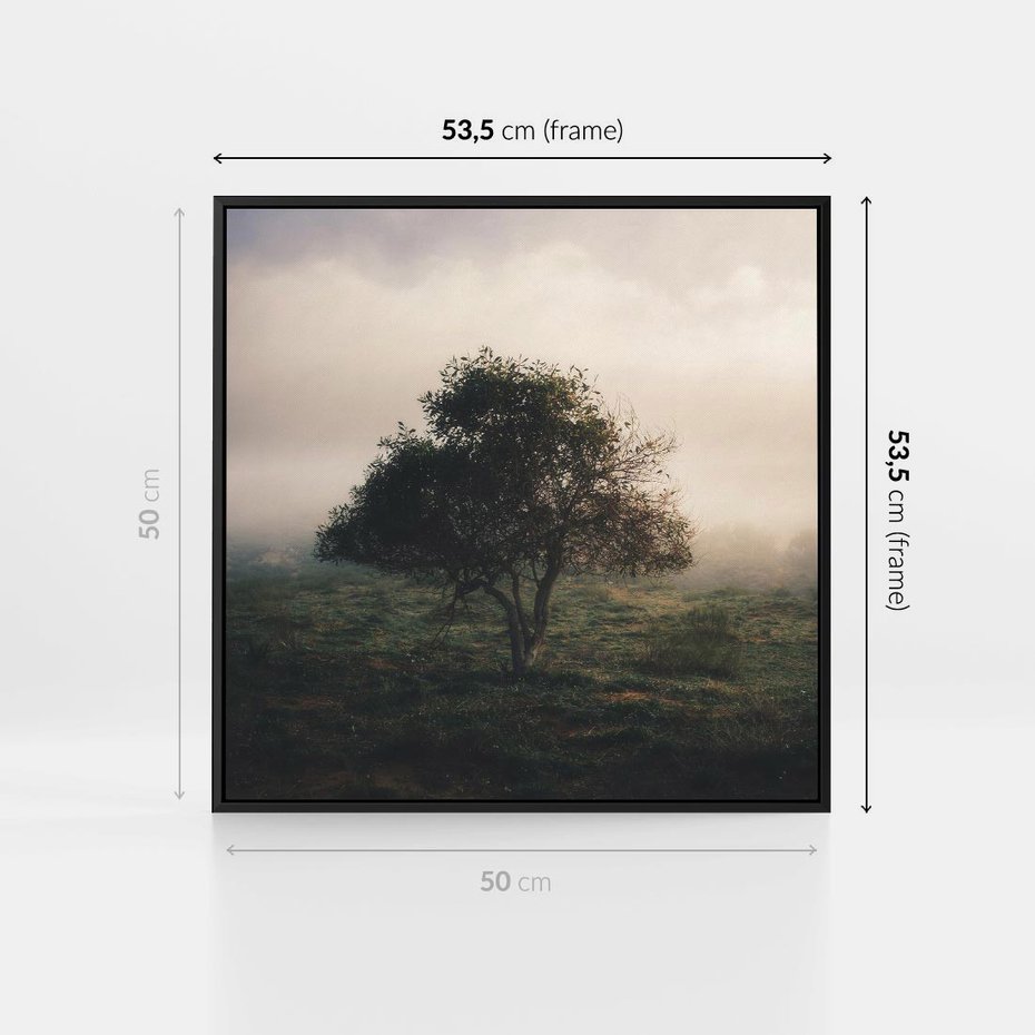 Obraz w ramie 50x50 - Zamglona Prostota - artystyczna fotografia, samotne drzewo na zamglonej łące - rama czarna