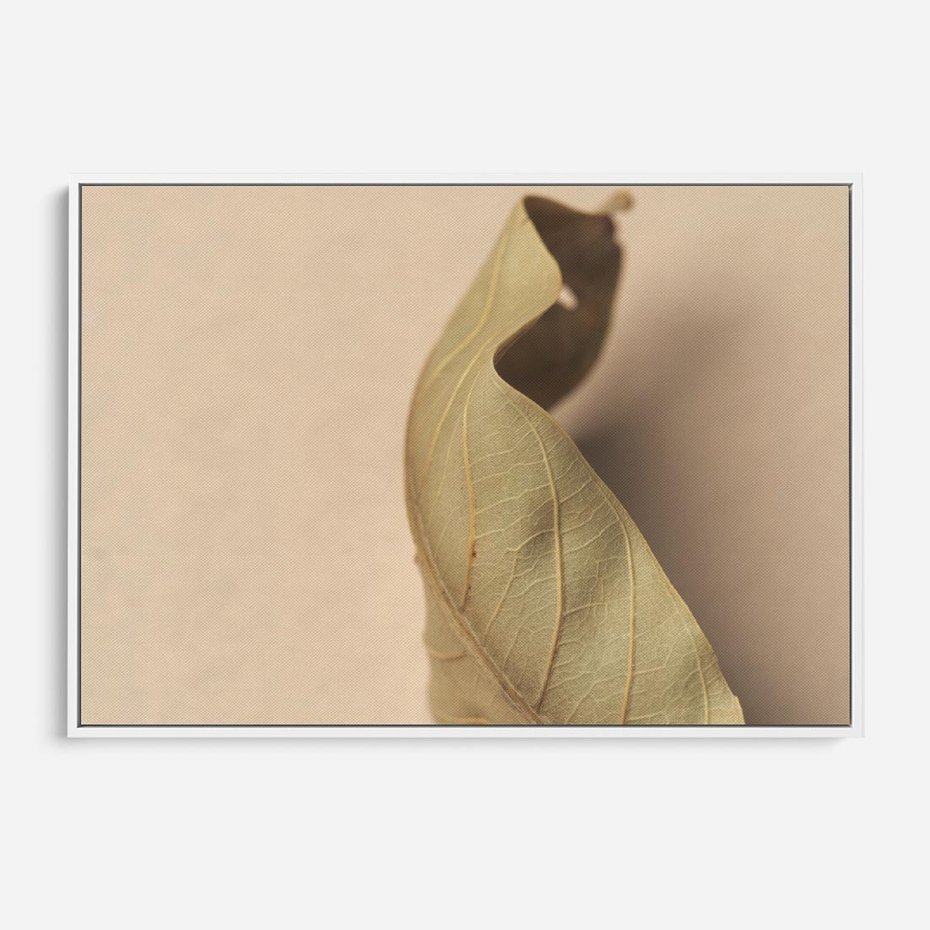 Obraz w ramie 120x80 - Boho suszone liście - suszony, liść - rama biała