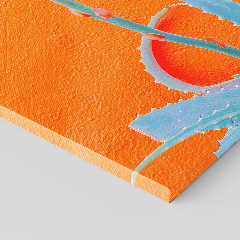 Obraz na płótnie 120x80 - Naturalna Harmonia - kaktusy, liście