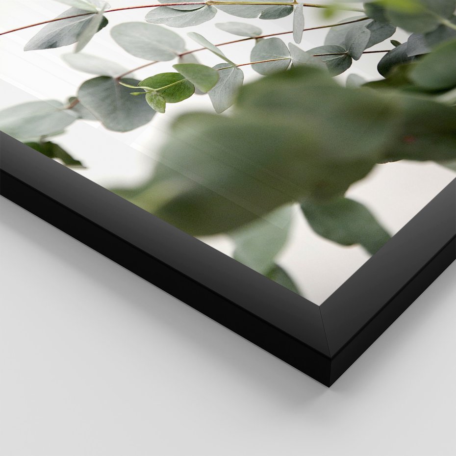 Zestaw obrazy w ramie 40x50 galeria - Eukaliptus, zielone, liście, minimalizm - rama czarna