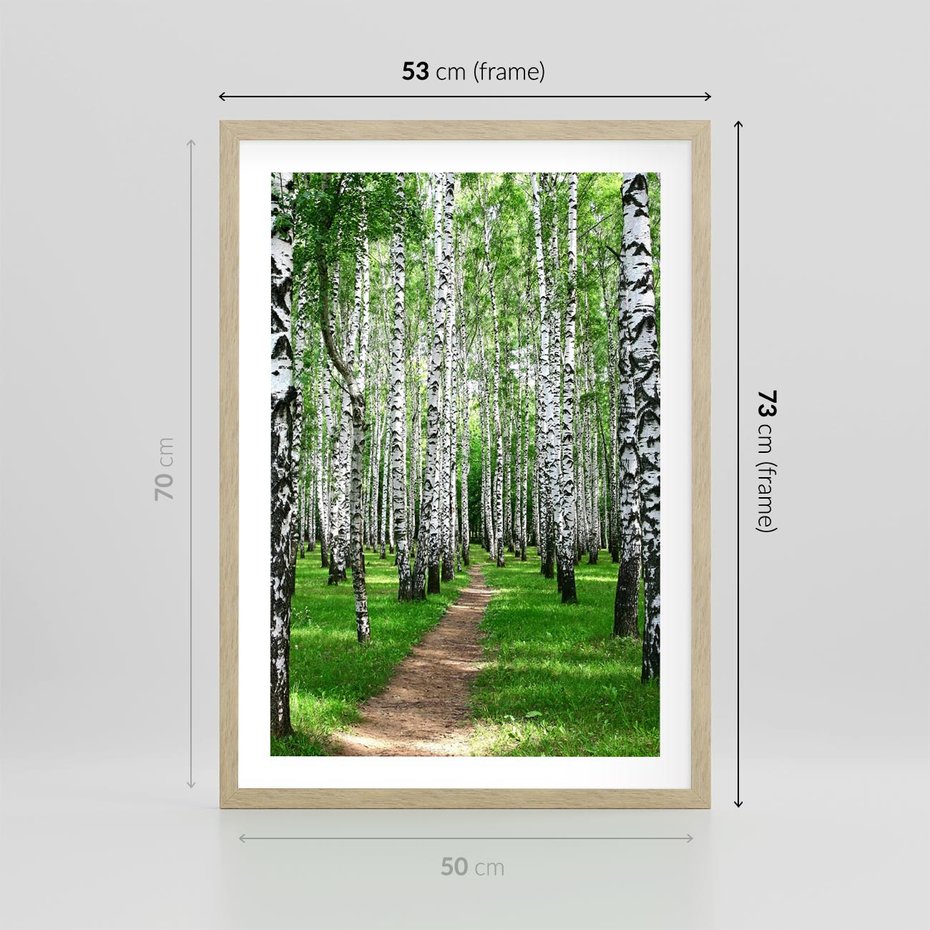 Plakat w ramie 50x70 - Bajkowy las pełen brzóz - las, brzozy - rama drewno
