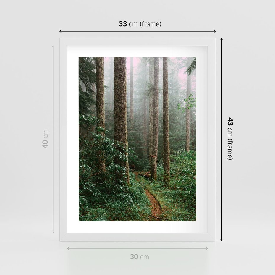 Plakat w ramie 30x40 - Mgliste Marzenia - artystyczna fotografia, las - rama biała