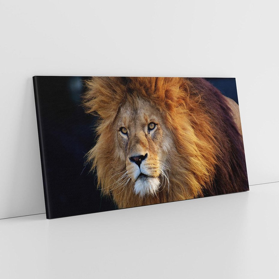 Obraz na płótnie 100x50 - Lew - Król Zwierząt - lew, zwierzęta