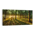 Obraz na płótnie 120x60 - Mistyfikujący urok leśnej głuszy - las, drzewa