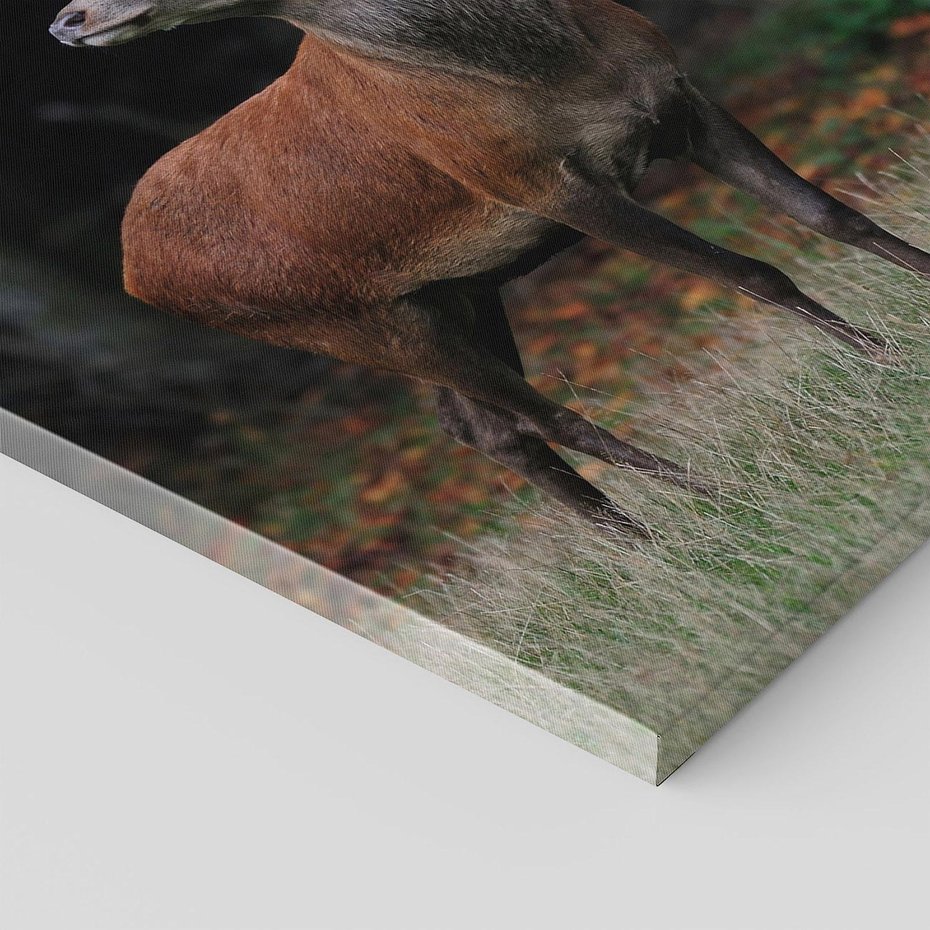 Obraz na płótnie 80x120 - Spotkanie z naturą - jeleń, las