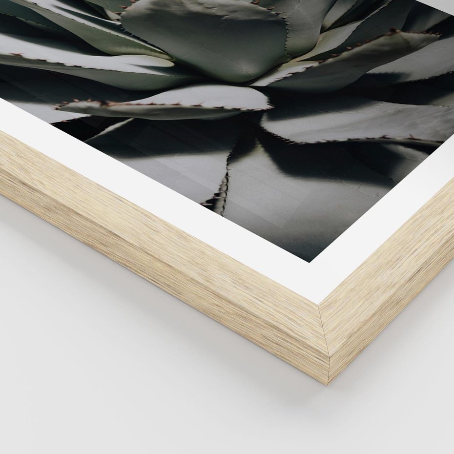 Plakat w ramie 30x40 - Egzotyczny Raj - sukulenty, kaktusy - rama drewno