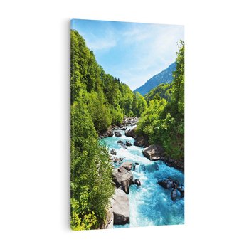 Obraz na płótnie 80x120 - Górski strumyk - strumyk, góry