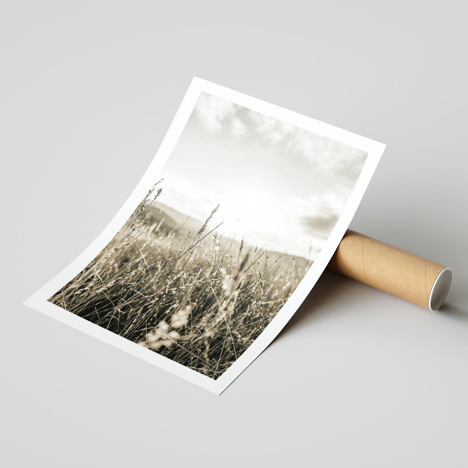 Plakat bez ramy 21x30 - Łąka w Klimacie Sepii - suche trawy, łąka