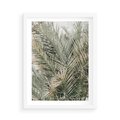 Plakat w ramie 50x70 - Egzotyczny Świat Palm - palmy, liście palmy - rama biała