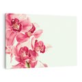 Obraz na płótnie 100x70 - Orchidea - delikatne kwiaty - orchidea, kwiaty
