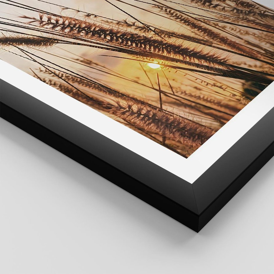Plakat w ramie 50x70 - Malownicza Łąka z Trawam - trawy, łąka - rama czarna