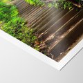 Plakat bez ramy 21x30 - Lasowa ścieżka pełna tajemnic - ścieżka, schody