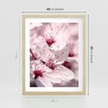 Plakat w ramie 40x50 - Kwitnąca Wiśnia - kwiaty, kwitnąca - rama drewno