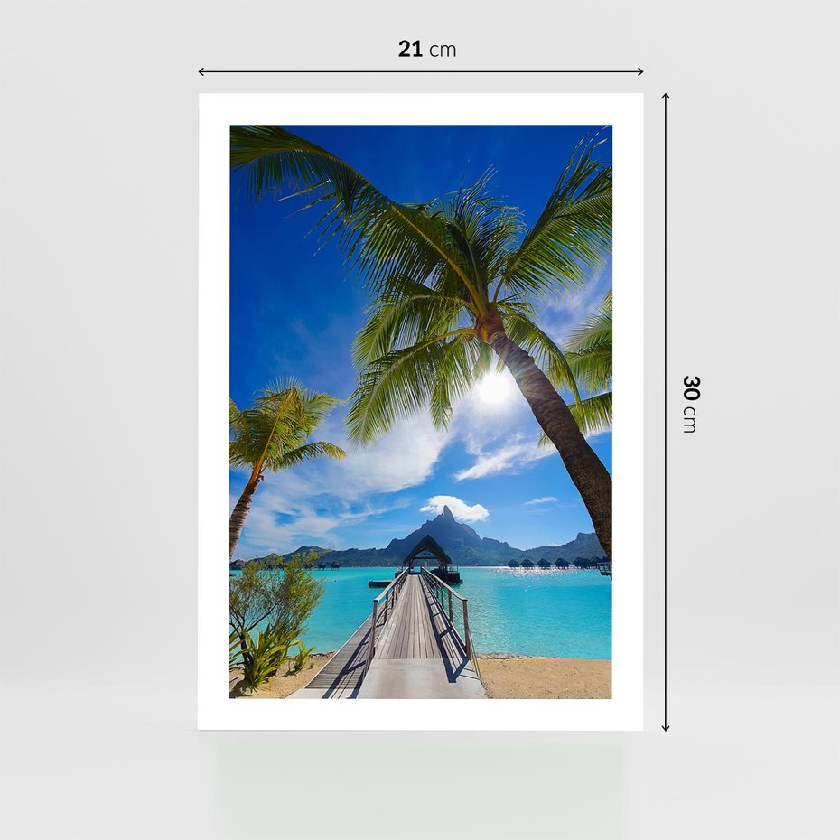 Plakat bez ramy 21x30 - Tropikalne palmy nad oceanem - palmy, ocean