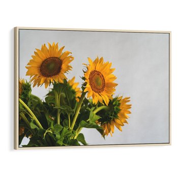 Obraz w ramie 70x50 - Słoneczna Radość - fotografia, żółte słoneczniki - rama drewno