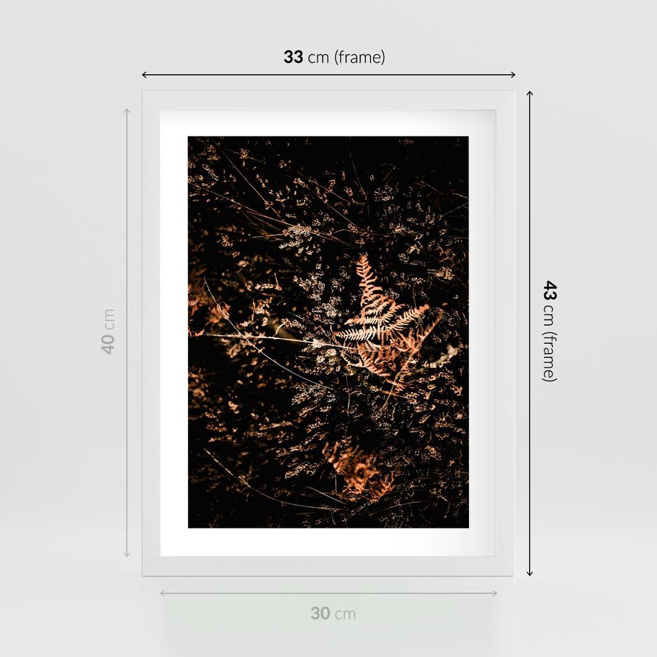 Plakat w ramie 30x40 - Jesienna Melodia - suche trawy, paprocie - rama biała