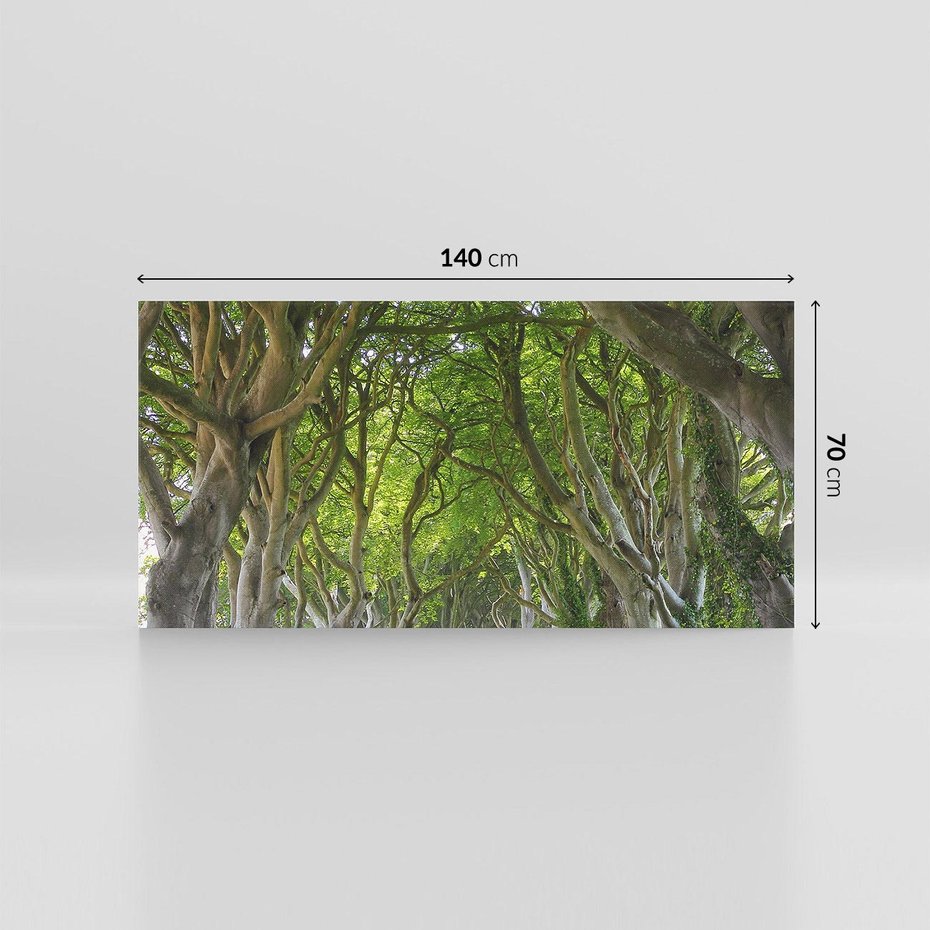 Obraz na płótnie 140x70 - Magiczny Las - drzewa, las