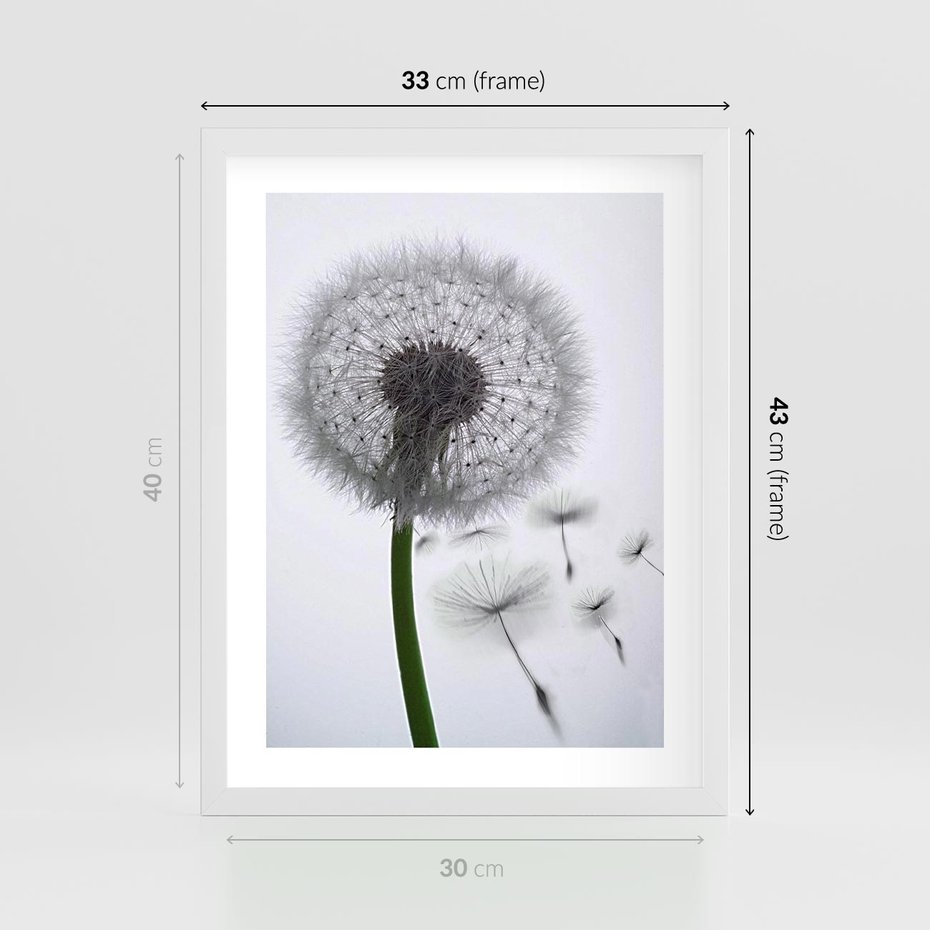 Plakat w ramie 30x40 - Lekkość Przemijania - dmuchawiec, makro - rama biała