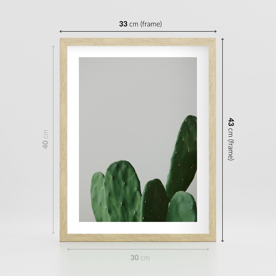 Plakat w ramie 30x40 - Majestatyczne Wysokości - kaktusy, liście - rama drewno