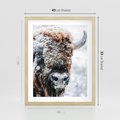 Plakat w ramie 40x50 - Żubr w Krainie Śniegu - żubr, zima - rama drewno