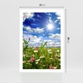 Plakat bez ramy 21x30 - Niebiańska łąka pełna kwiatów - łąka, niebo