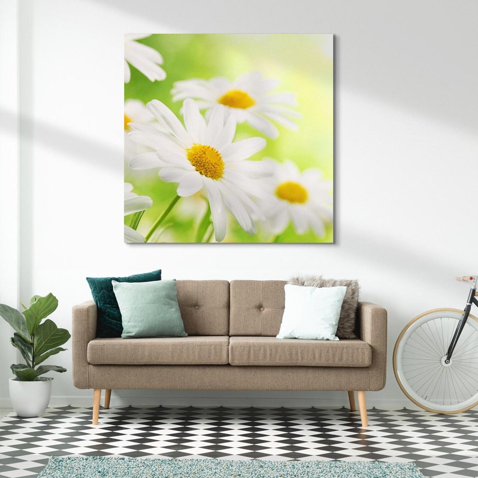 Obraz na płótnie 40x40 - Stokrotka: delikatność natury - stokrotka, kwiat