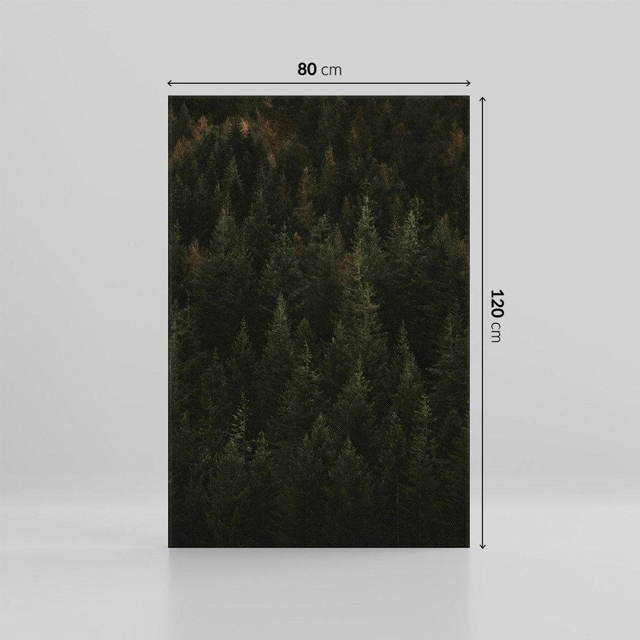 Obraz na płótnie 80x120 - Ciemny las iglasty - las, iglasty