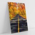 Obraz na płótnie 50x70 - Droga przez jesienny las - droga, las