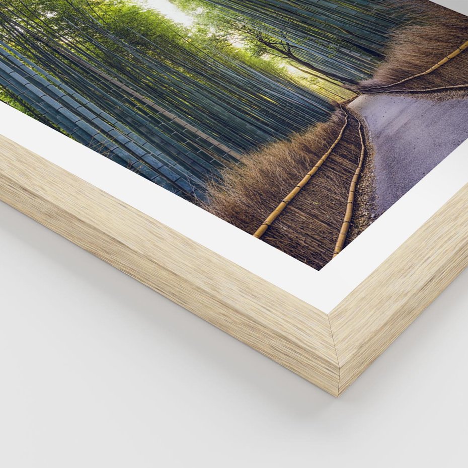 Plakat w ramie 40x50 - Urokliwa dróżka w lesie - las, dróżka - rama drewno