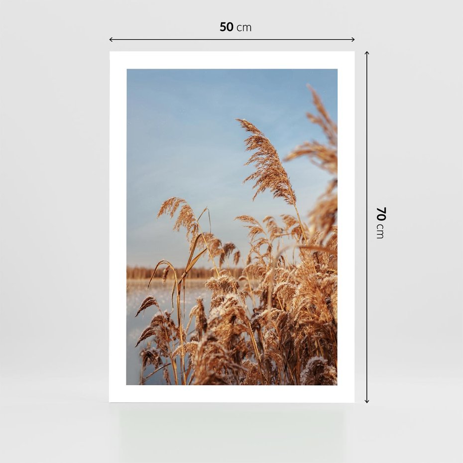 Plakat bez ramy 50x70 - Wyraz Stylu - trawy, boho