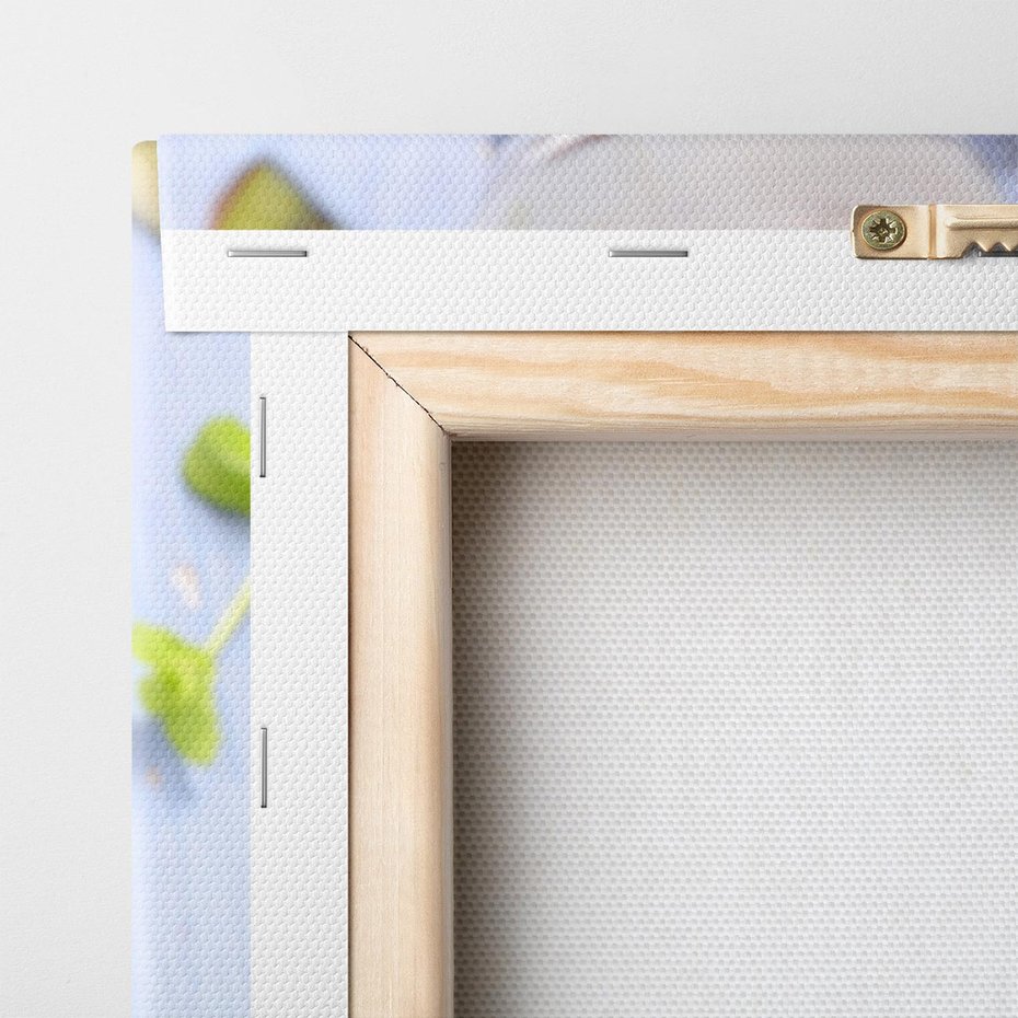 Obraz na płótnie 80x80 - Świeżość i Zdrowie - sałatka, owoce