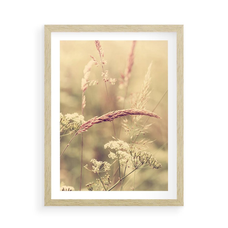 Plakat w ramie 50x70 - Boho Wizja - suszone, trawy - rama drewno