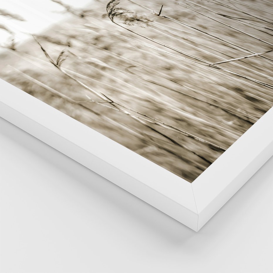 Zestaw obrazy w ramie 30x40 galeria - Lato, pola, pszenicy, chatka, boho - rama biała