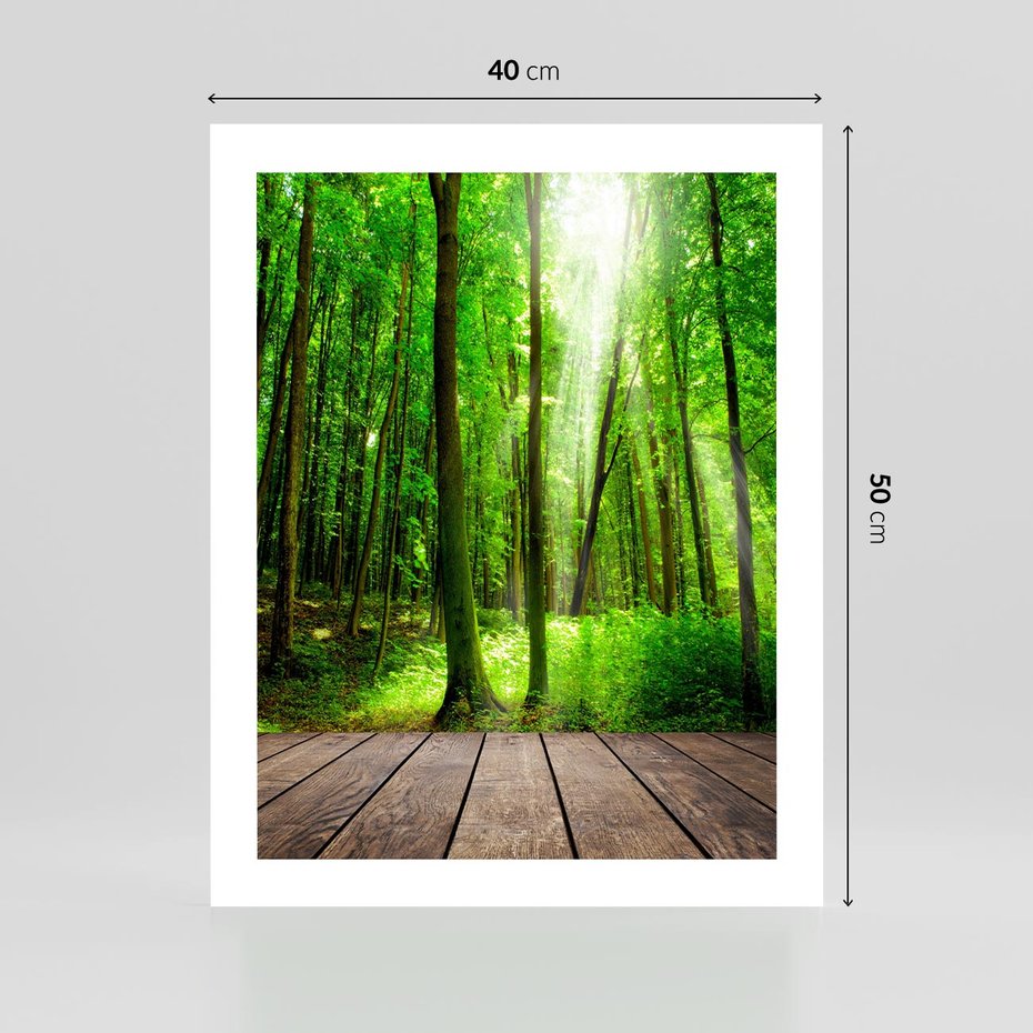 Plakat bez ramy 40x50 - Spacer po urokliwej dróżce w lesie - las, dróżka