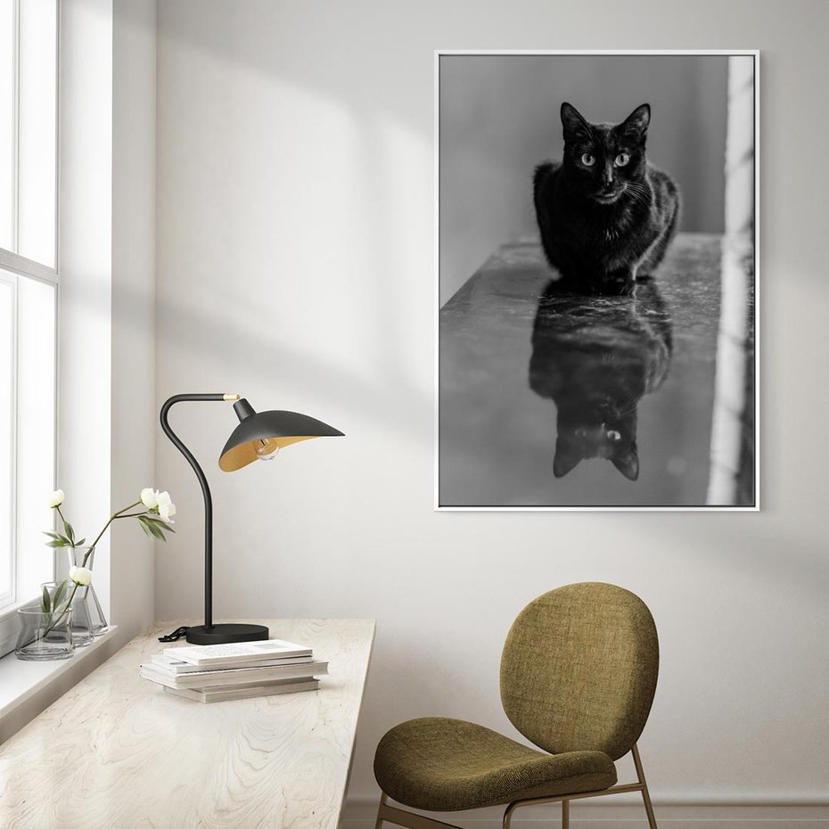 Obraz w ramie 50x70 - Kocie Oczy - kot, czarno białe zdjęcie - rama biała