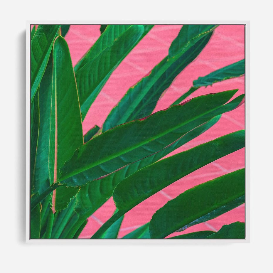 Obraz w ramie 50x50 - Odezwij się do przeszłości - liście, retro - rama biała