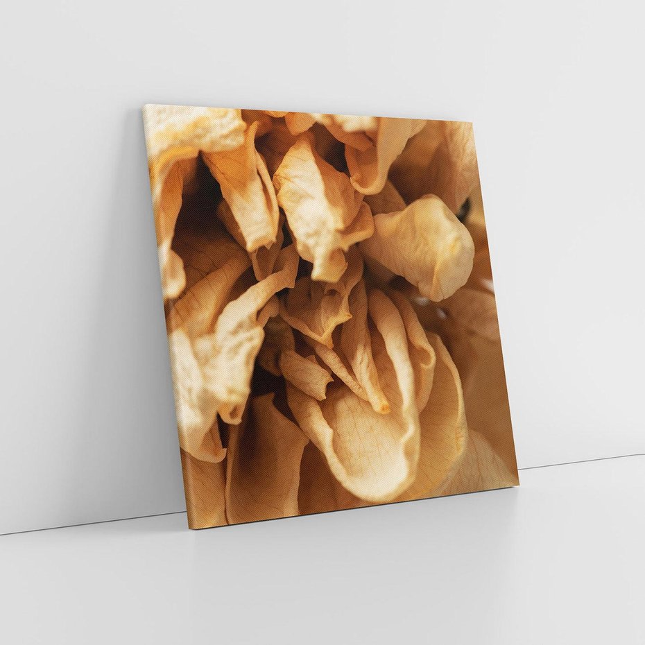 Obraz na płótnie 70x70 - Zjawiskowe zasuszone kwiaty - zasuszone, kwiaty