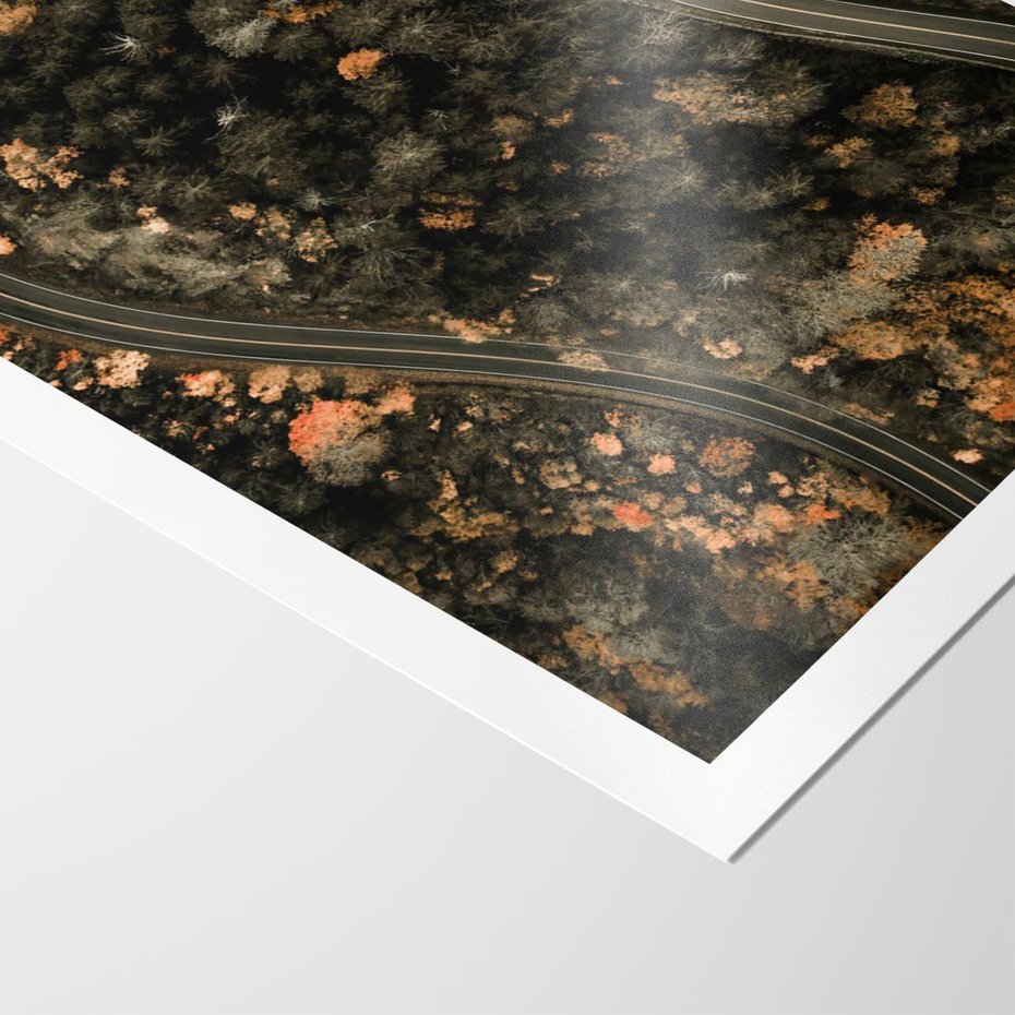 Plakat bez ramy 21x30 - Las i Droga w Kolorach Jesieni - droga, ujęcie z góry