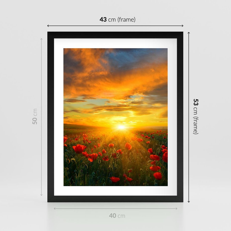 Plakat w ramie 40x50 - Magia zachodu słońca na łące z makami - łąka, zachód słońca - rama czarna