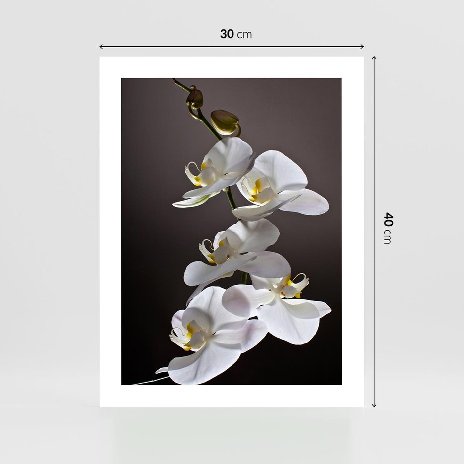 Plakat bez ramy 30x40 - SPA: harmonia z kwiatami - spa, kwiaty