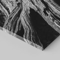 Obraz na płótnie 60x60 - Siła Natury - czarno biała fotografia, korzenie wielkiego drzewa