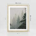 Plakat w ramie 40x50 - Mglista przemiana lasu - las, mgła - rama drewno