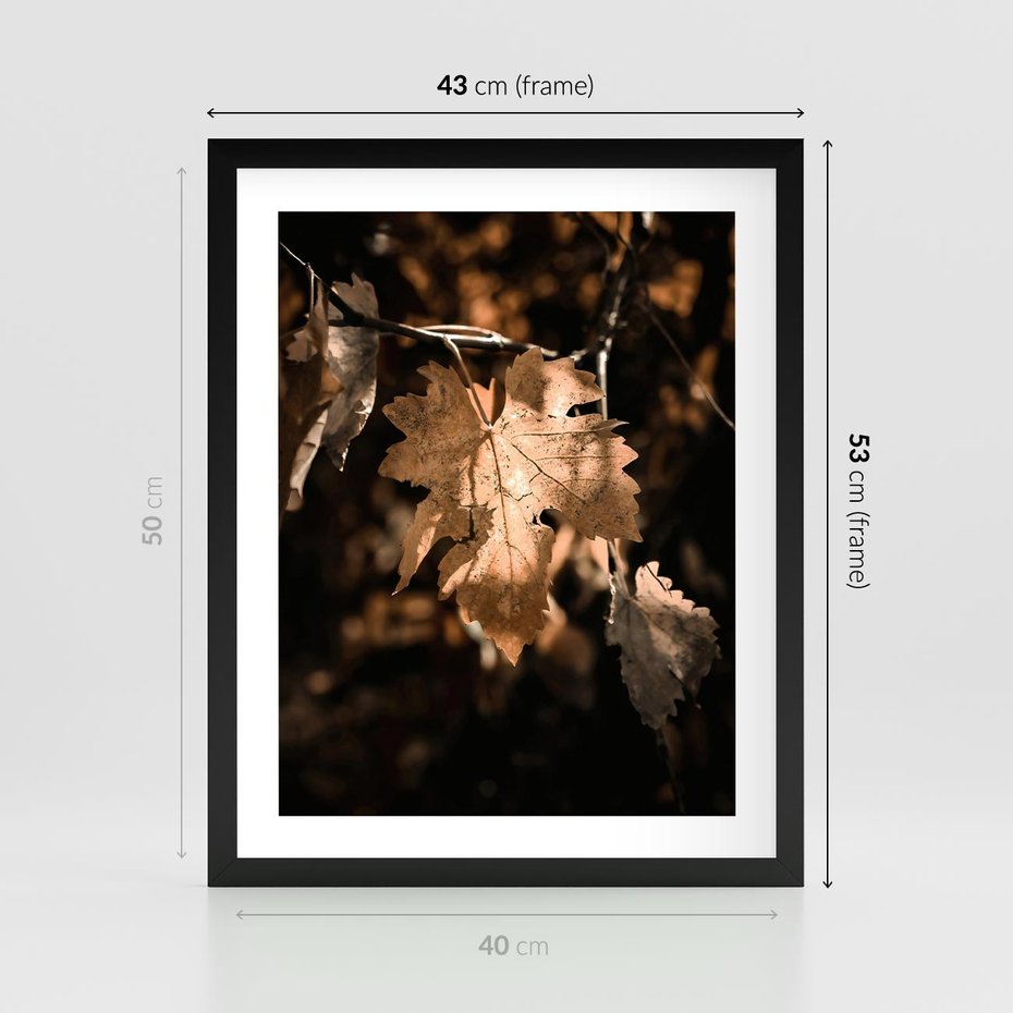 Plakat w ramie 40x50 - Uroczy Liść na Drzewie - jesienny liść, żółty liść na drzewie - rama czarna