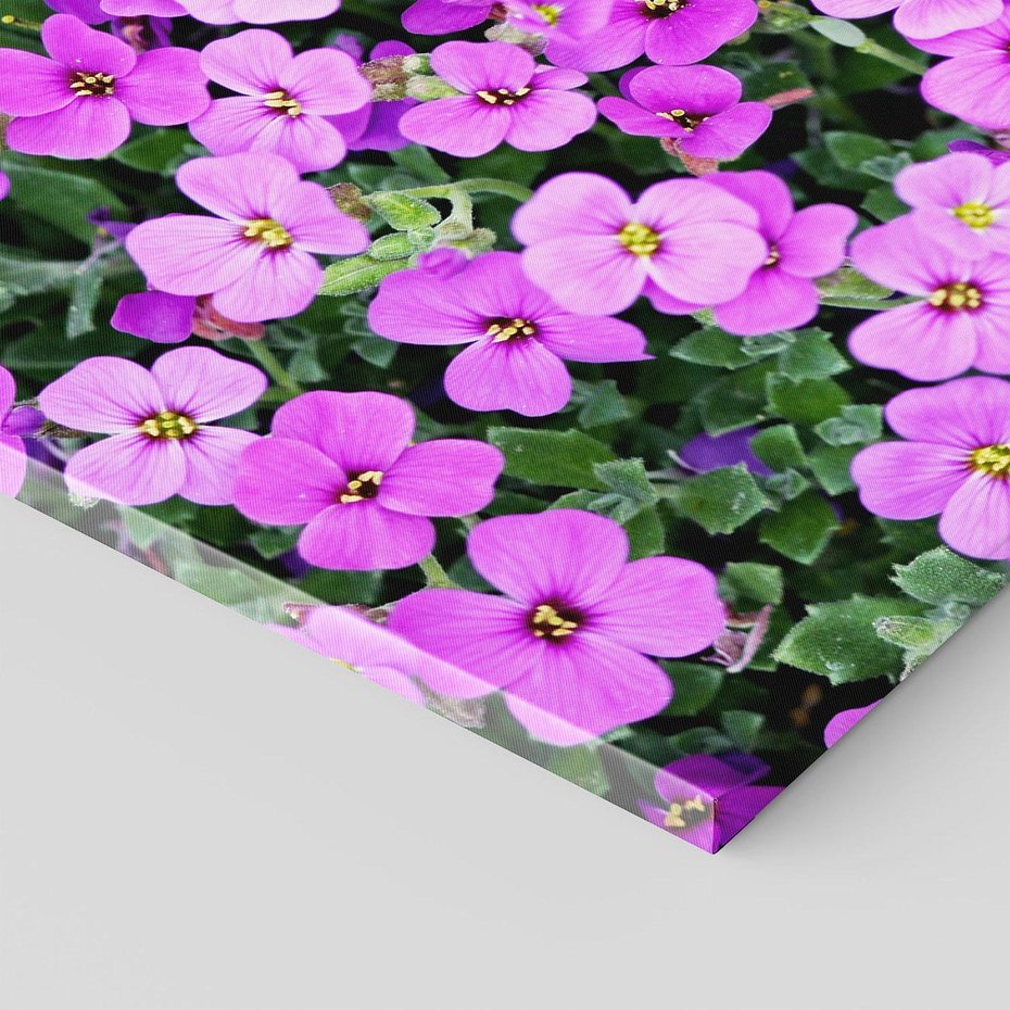 Obraz na płótnie 70x50 - Kwiatowa poezja w pastelowych odcieniach - kwiat, kwiaty