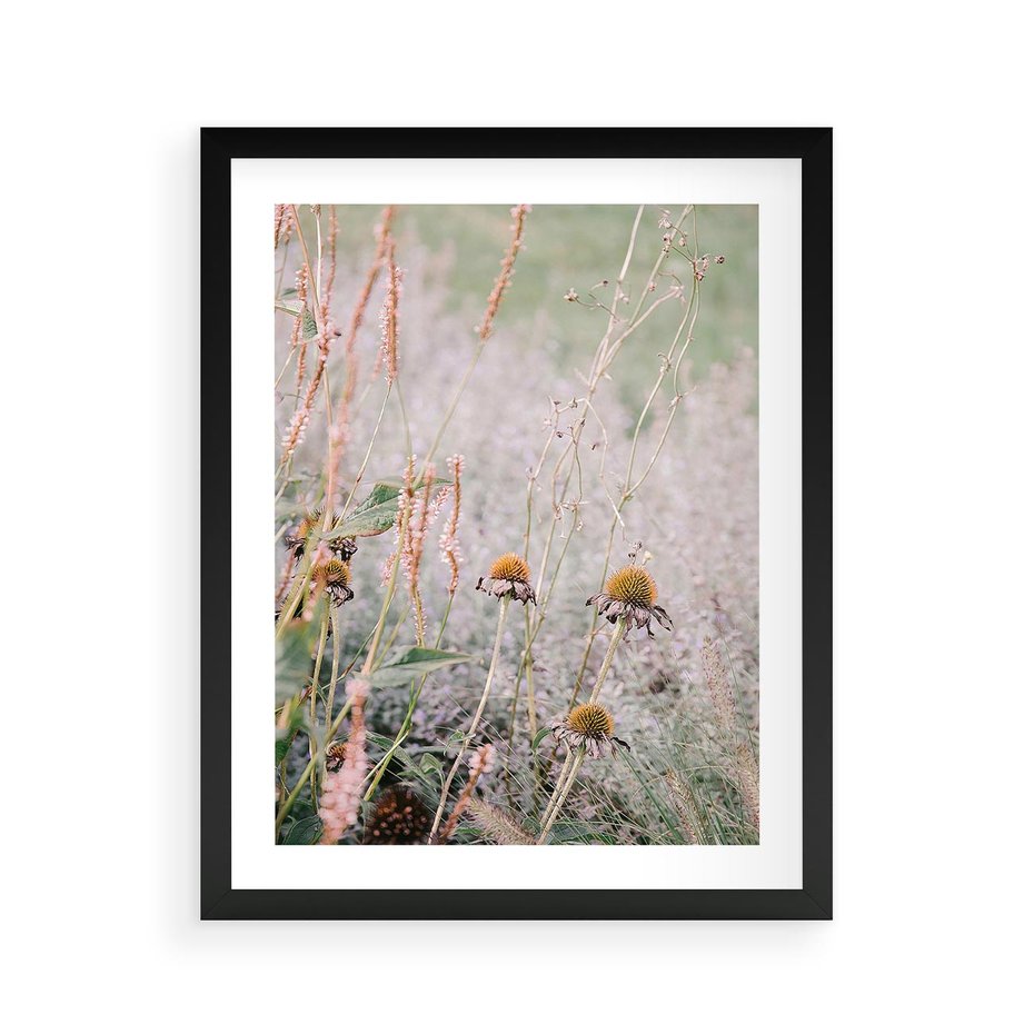 Plakat w ramie 40x50 - Przyroda w Pełnym Blasku: Kolorowa łąka z Kwiatami - łąka, kwiaty na łące - rama czarna