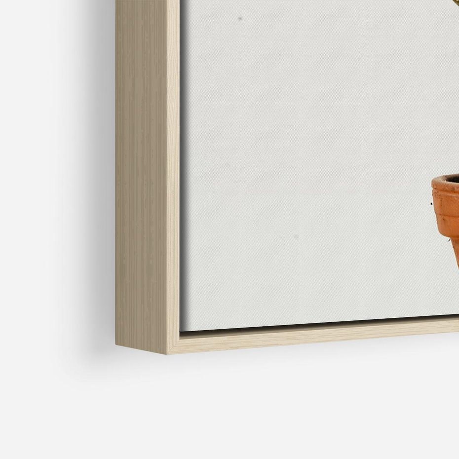 Obraz w ramie 100x70 - Kwiatowy taniec kaktusa - kaktus, kwiat - rama drewno