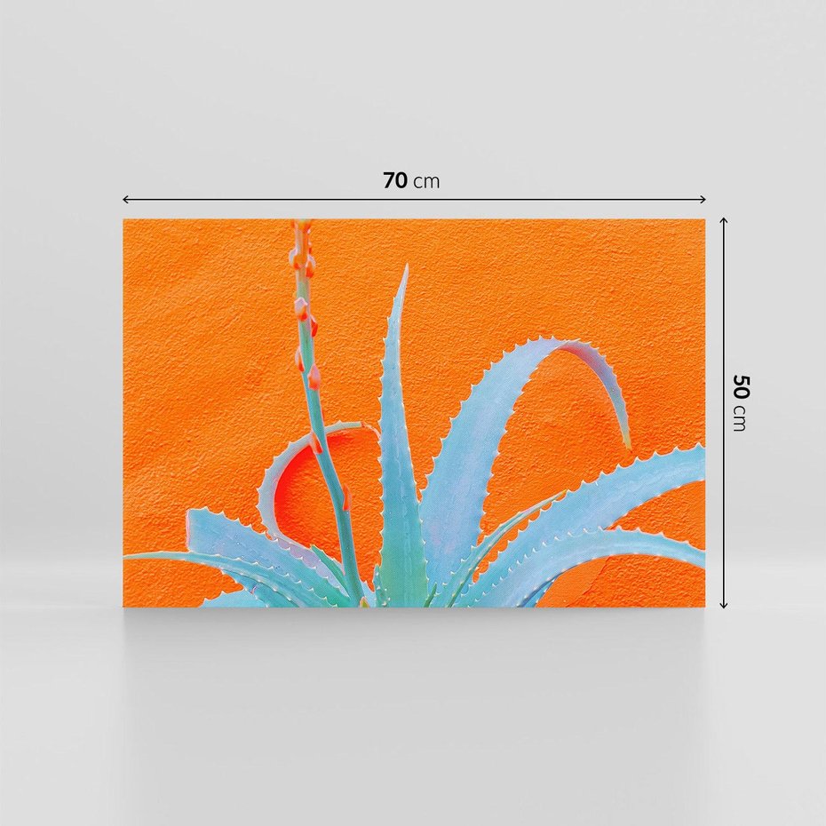 Obraz na płótnie 70x50 - Naturalna Harmonia - kaktusy, liście