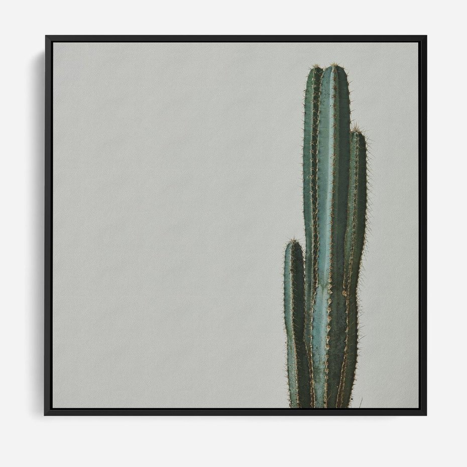 Obraz w ramie 50x50 - Zieleń i Subtelność - kaktusy, liście - rama czarna
