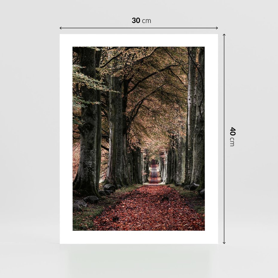 Plakat bez ramy 30x40 - Spacer po Leśnej Drodze - ścieżka w lesie, jesień suche liście